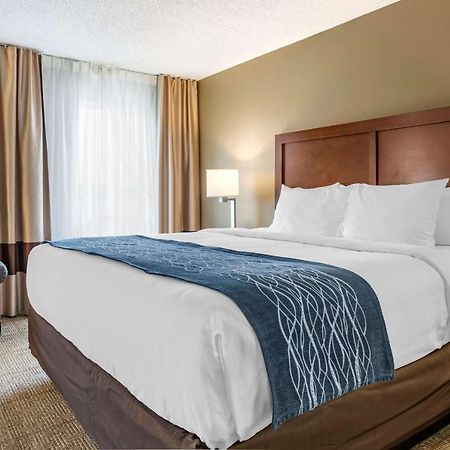 Comfort Inn & Suites Dimondale - Lansing Экстерьер фото