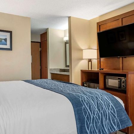 Comfort Inn & Suites Dimondale - Lansing Экстерьер фото