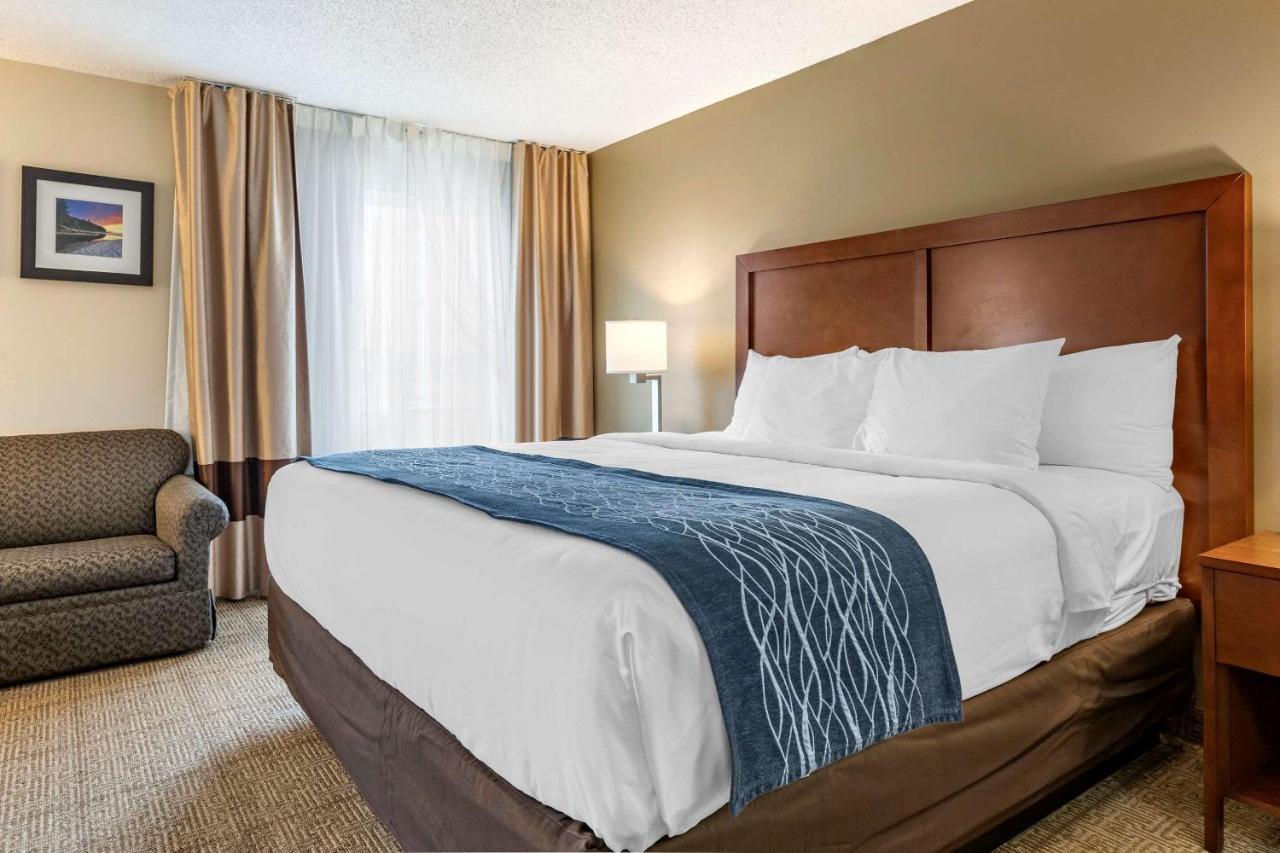 Comfort Inn & Suites Dimondale - Lansing Экстерьер фото
