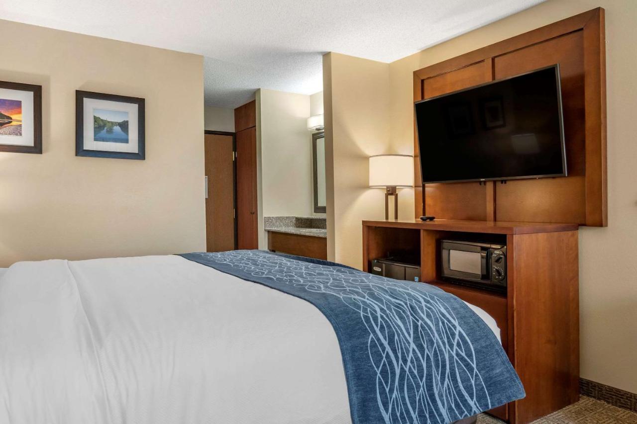 Comfort Inn & Suites Dimondale - Lansing Экстерьер фото