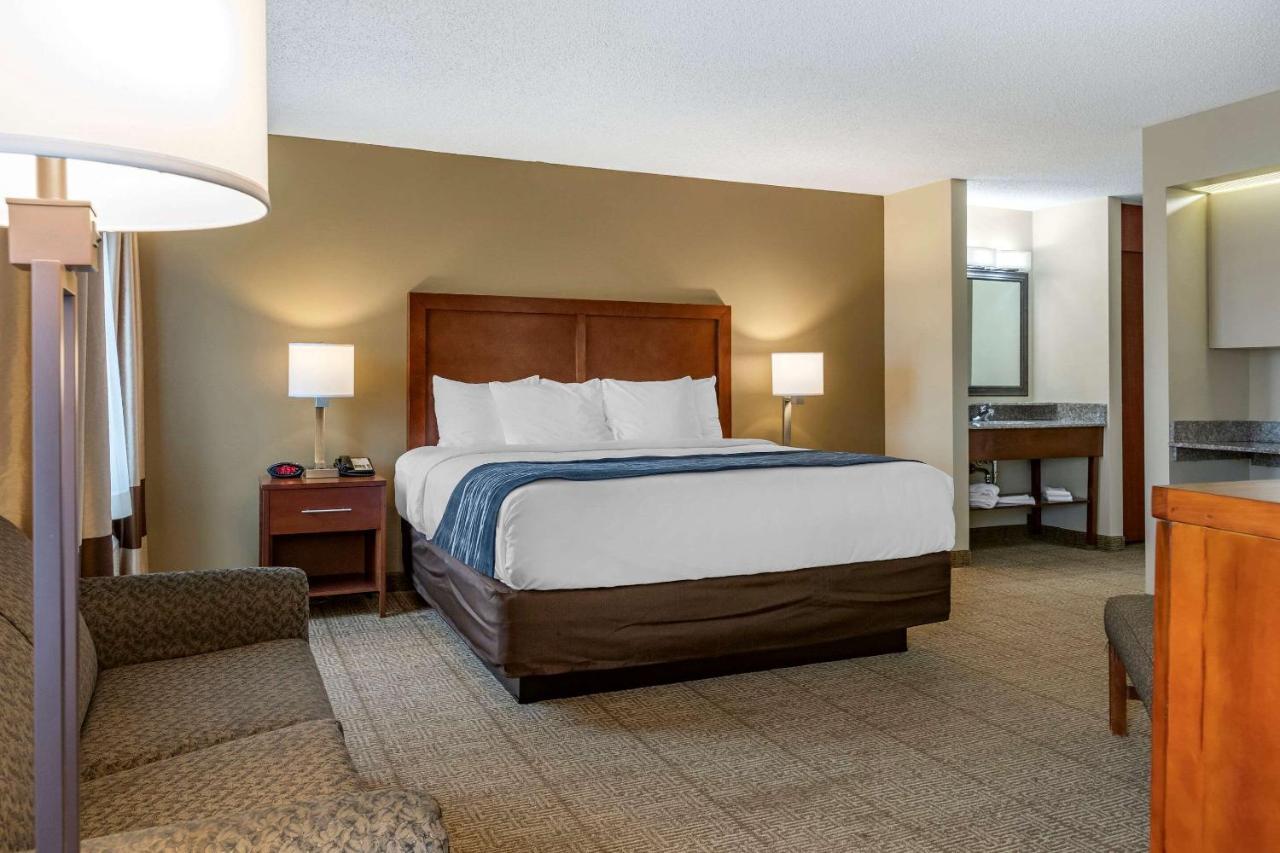 Comfort Inn & Suites Dimondale - Lansing Экстерьер фото