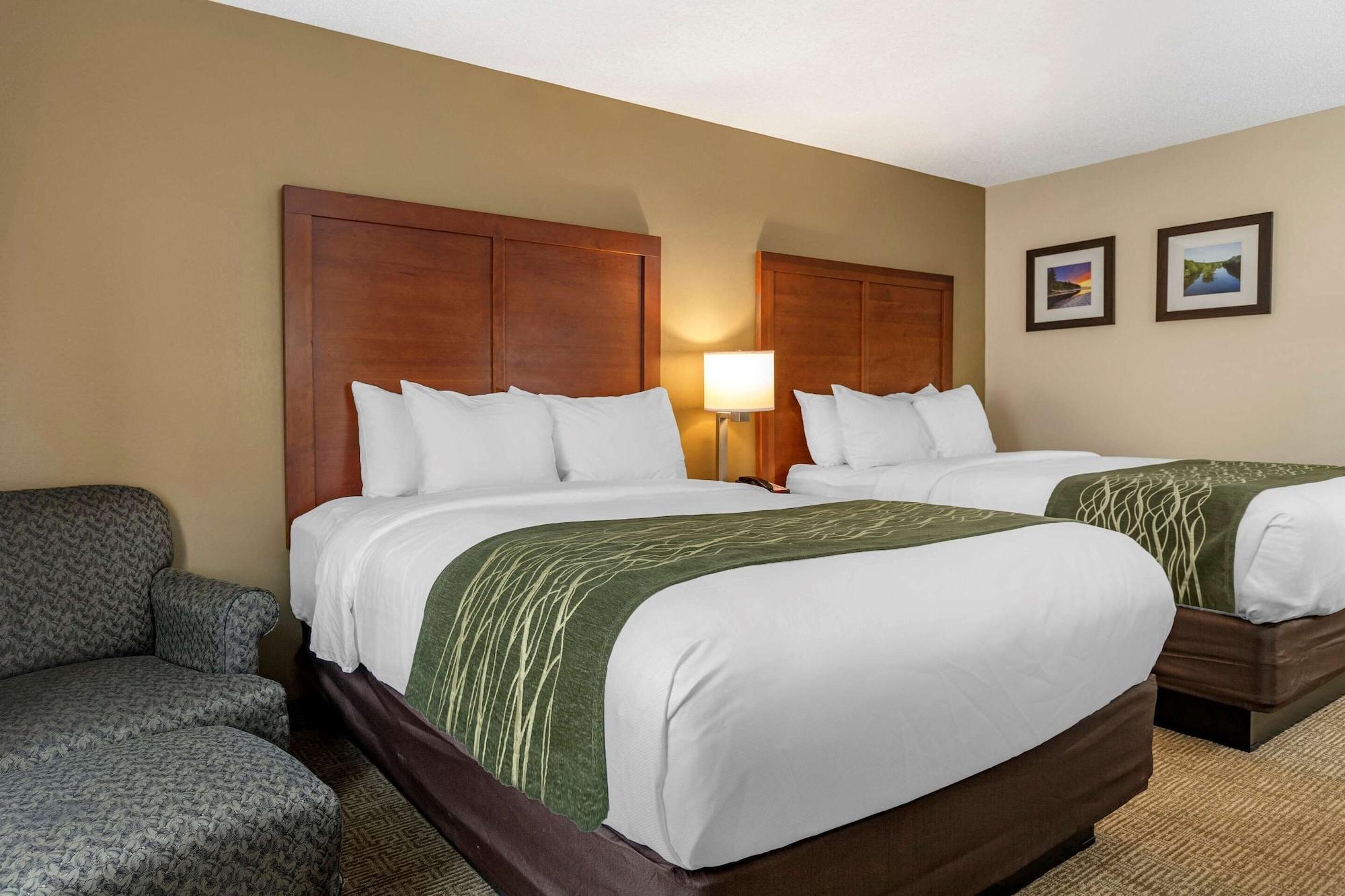 Comfort Inn & Suites Dimondale - Lansing Экстерьер фото
