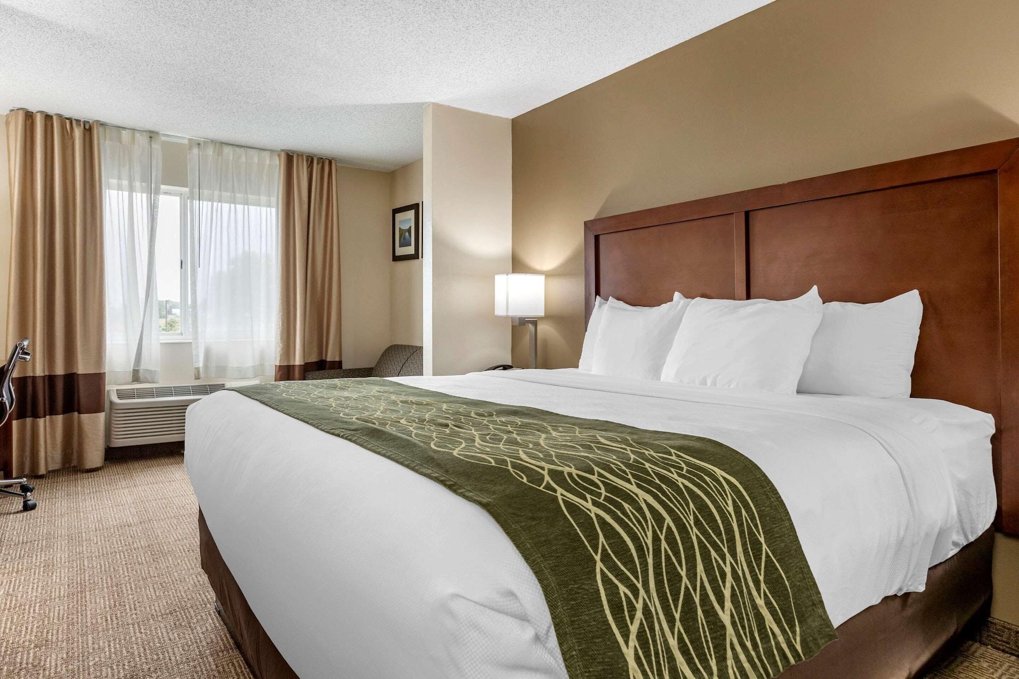 Comfort Inn & Suites Dimondale - Lansing Экстерьер фото