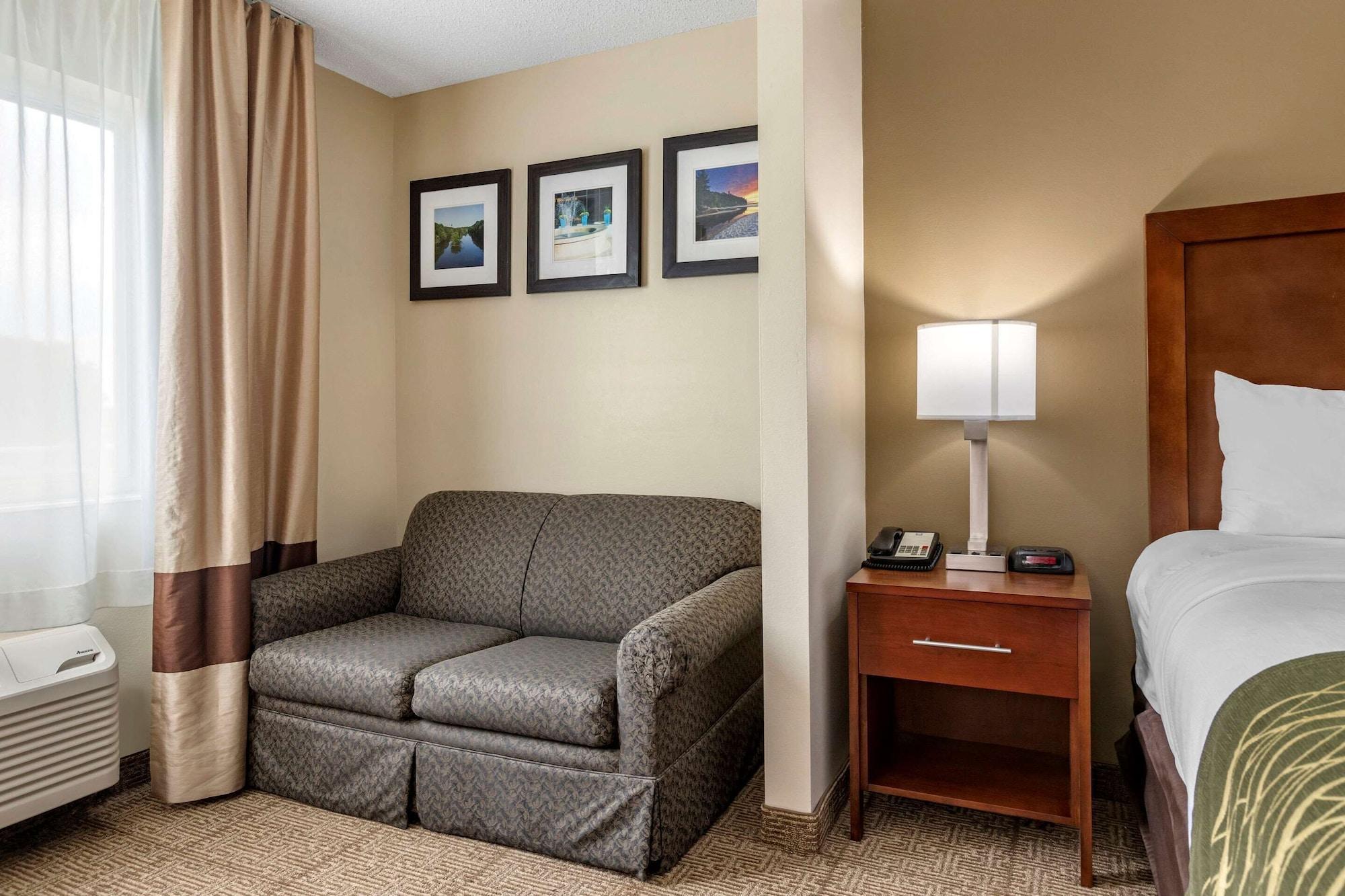 Comfort Inn & Suites Dimondale - Lansing Экстерьер фото