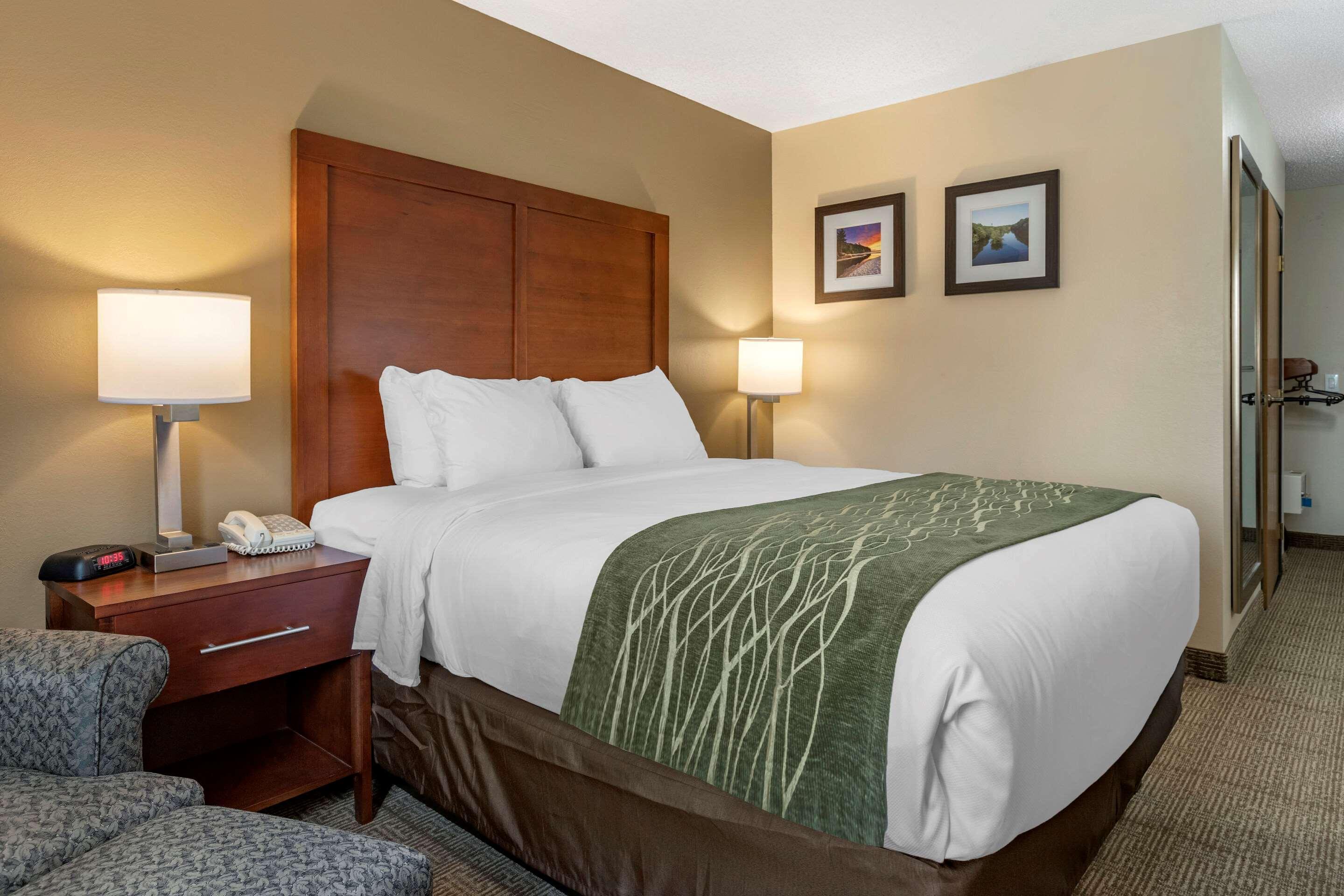 Comfort Inn & Suites Dimondale - Lansing Экстерьер фото