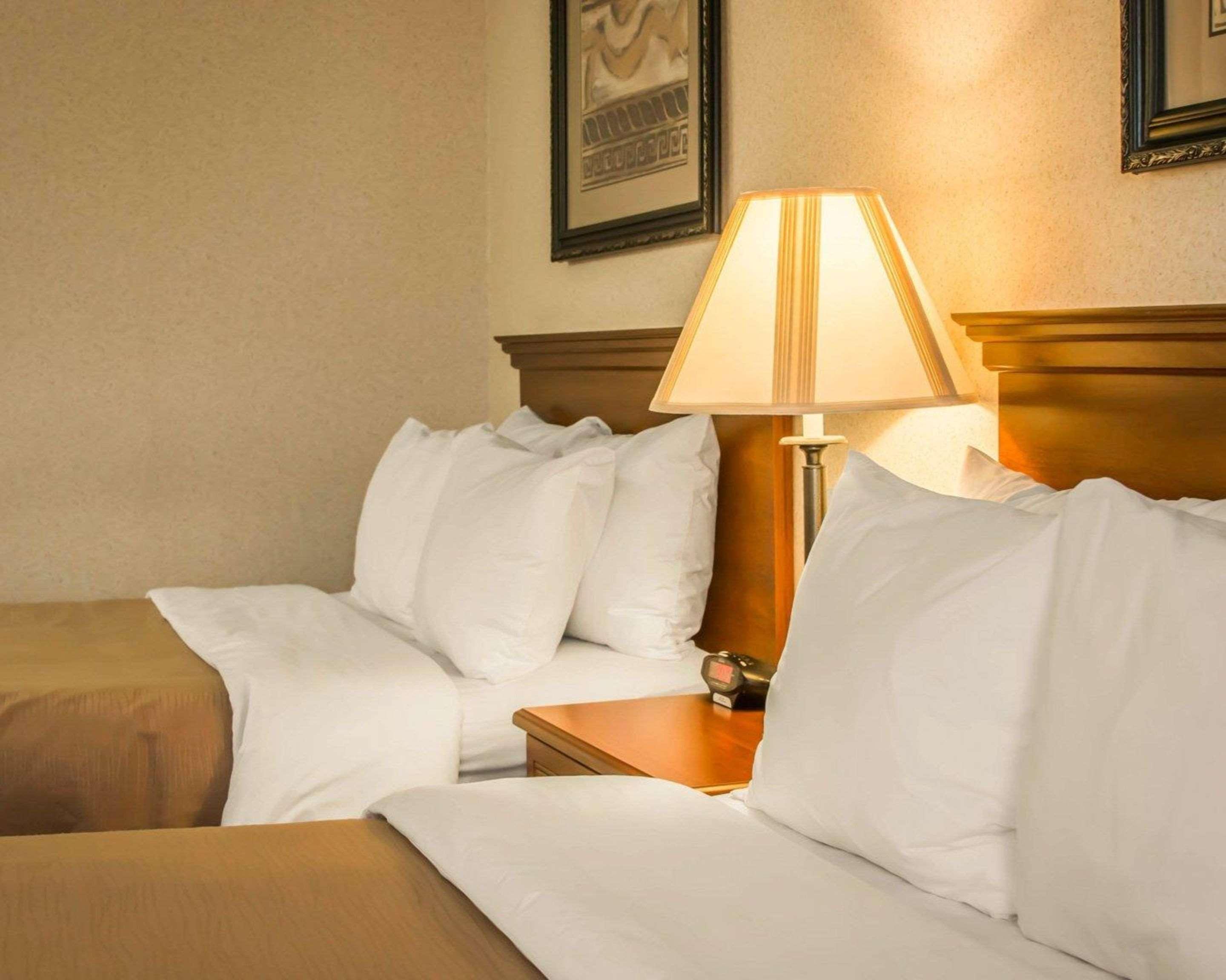 Comfort Inn & Suites Dimondale - Lansing Экстерьер фото