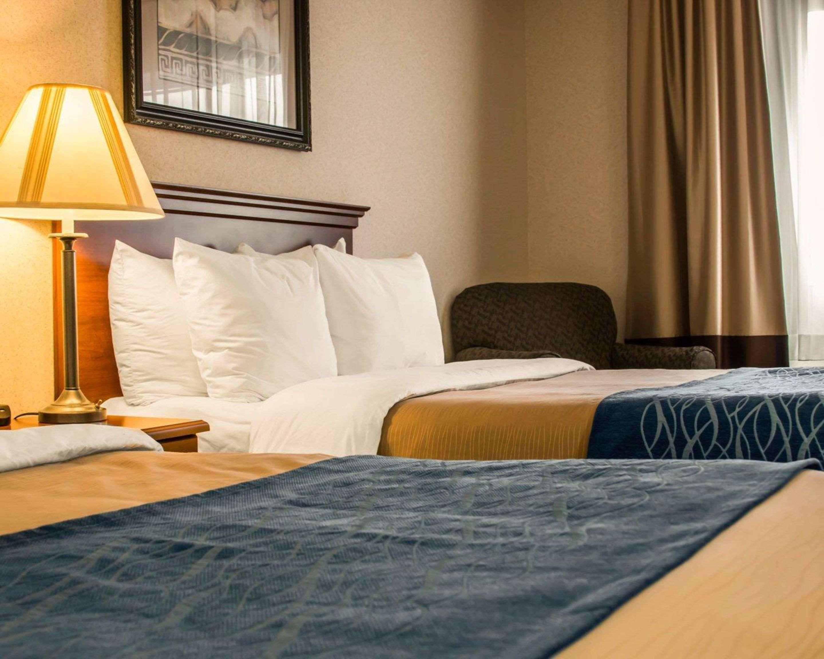 Comfort Inn & Suites Dimondale - Lansing Экстерьер фото