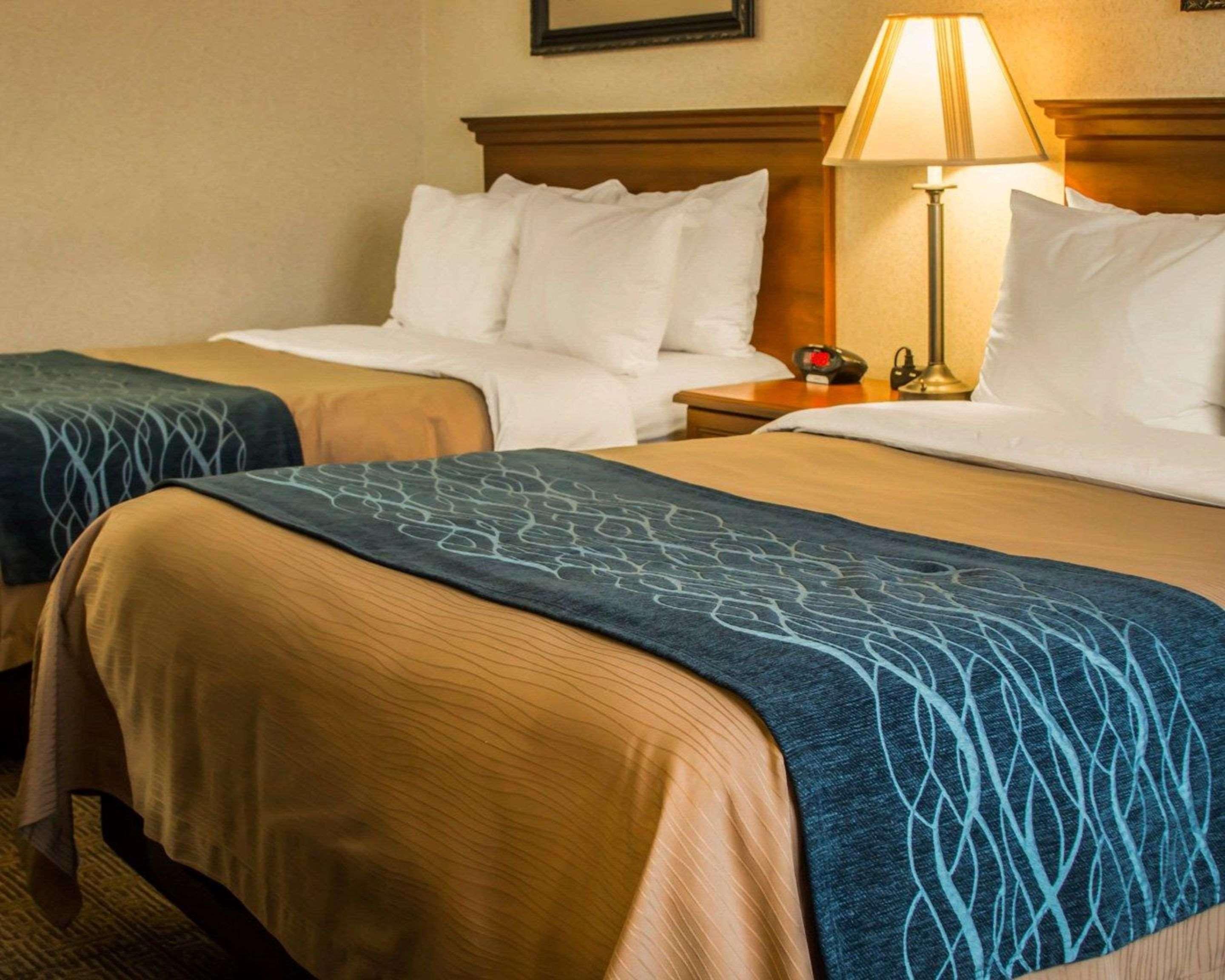 Comfort Inn & Suites Dimondale - Lansing Экстерьер фото