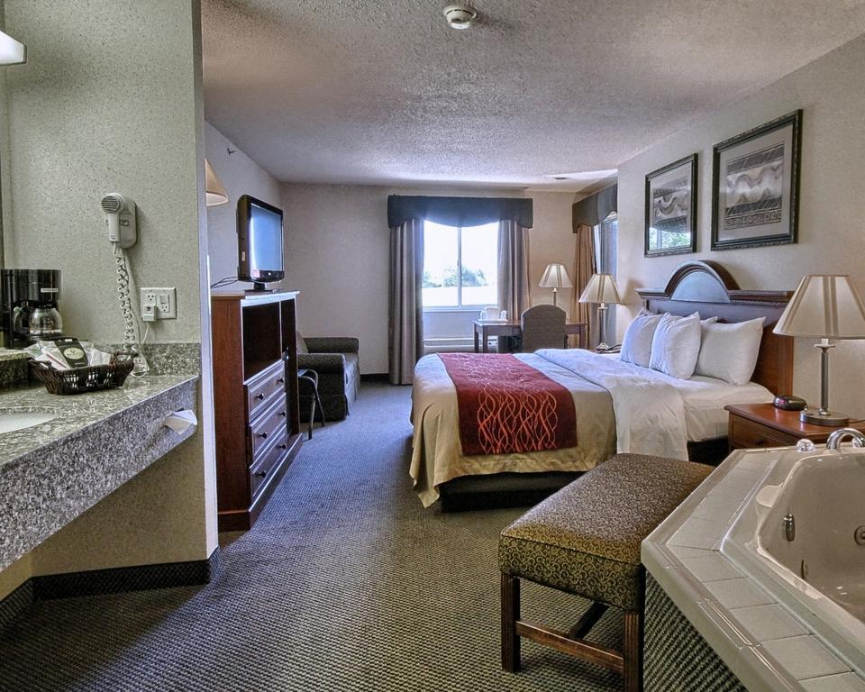 Comfort Inn & Suites Dimondale - Lansing Экстерьер фото