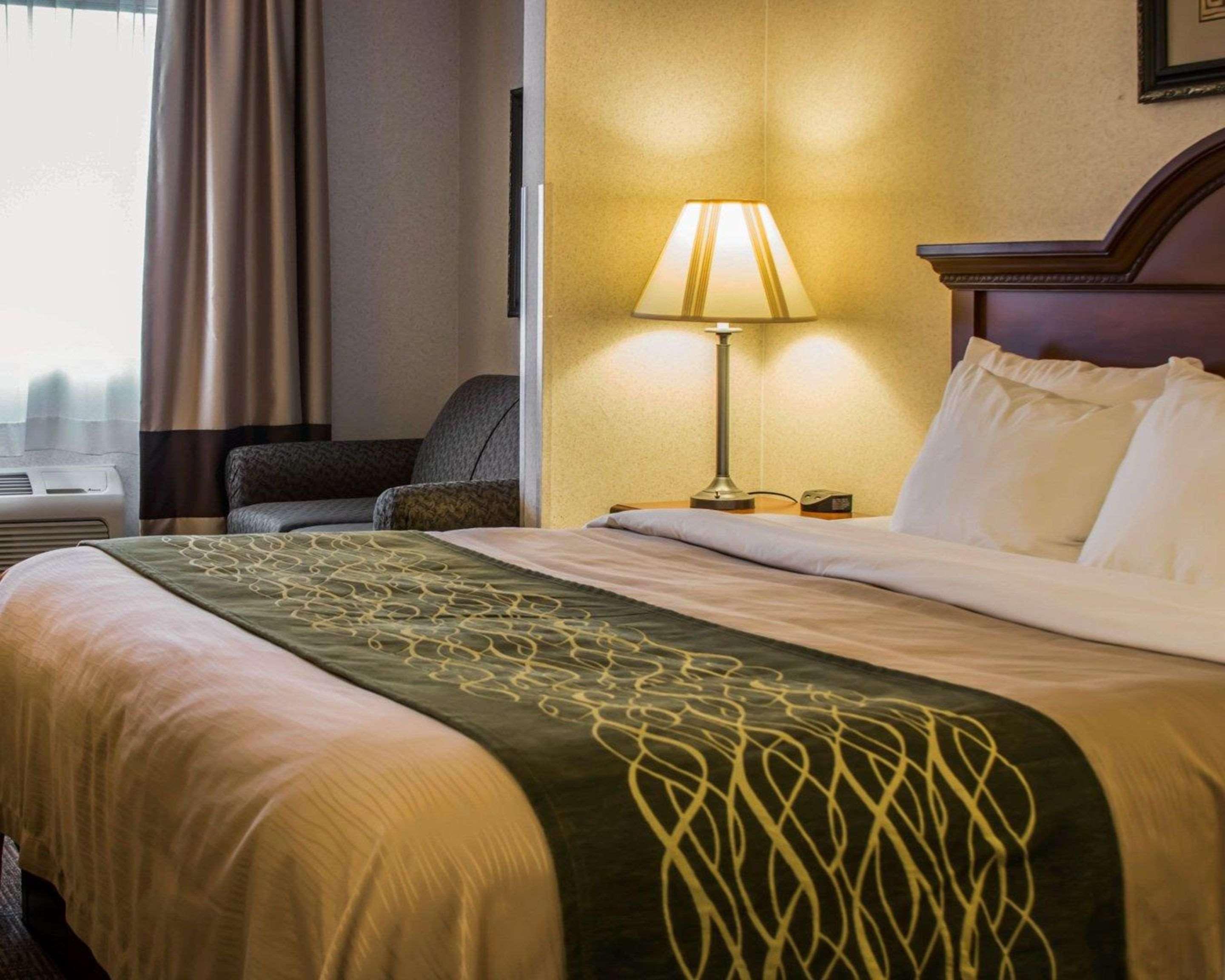 Comfort Inn & Suites Dimondale - Lansing Экстерьер фото