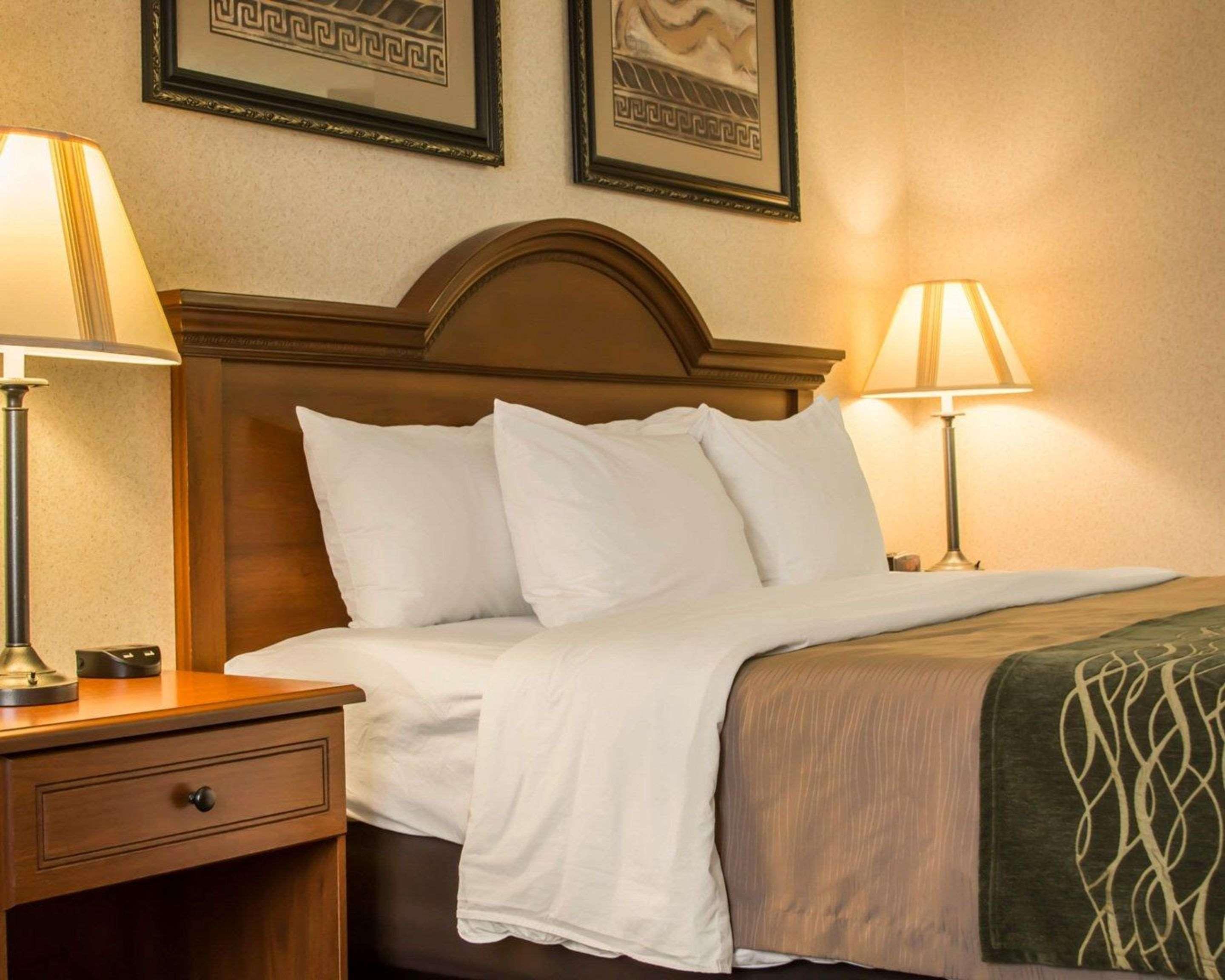 Comfort Inn & Suites Dimondale - Lansing Экстерьер фото