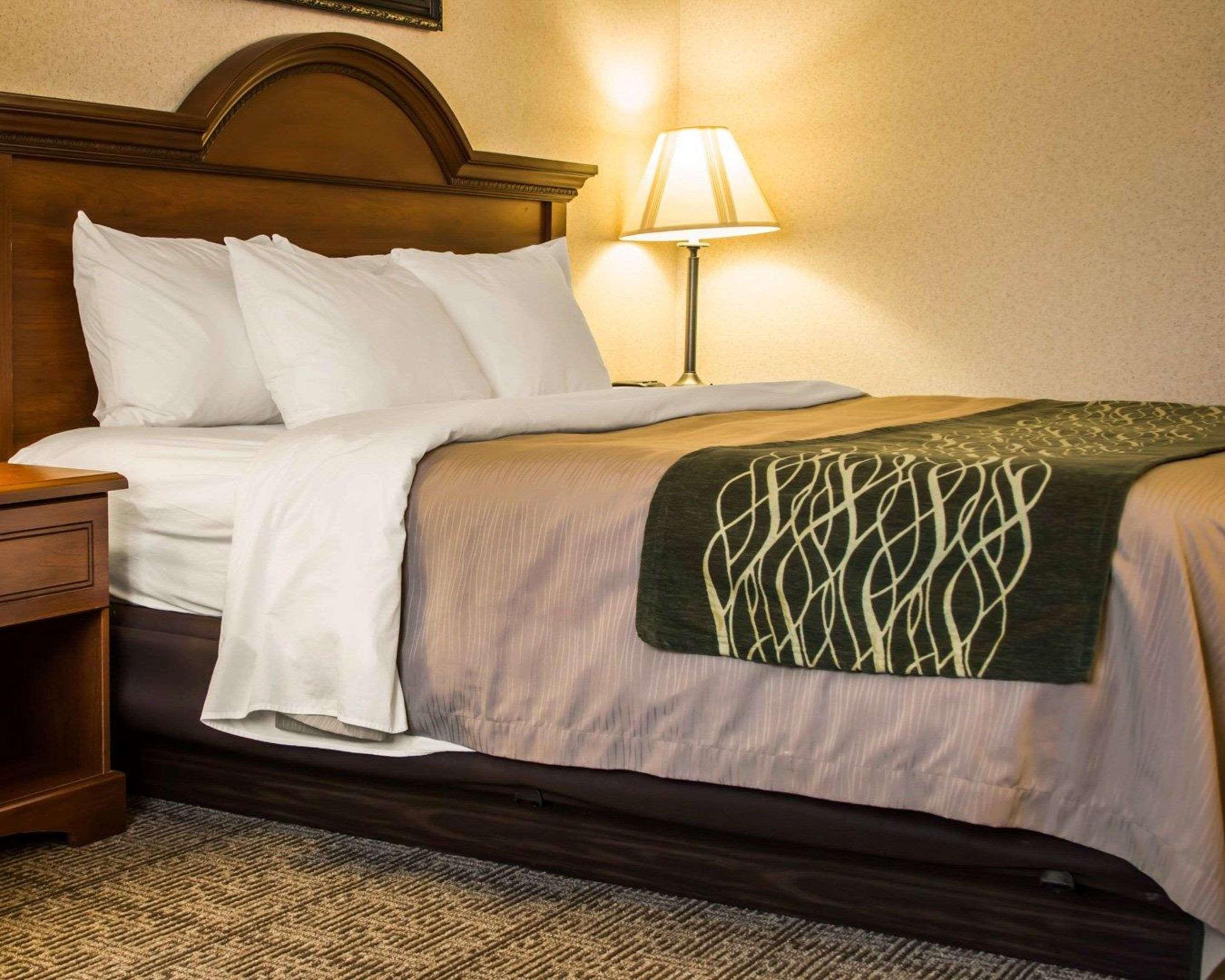 Comfort Inn & Suites Dimondale - Lansing Экстерьер фото