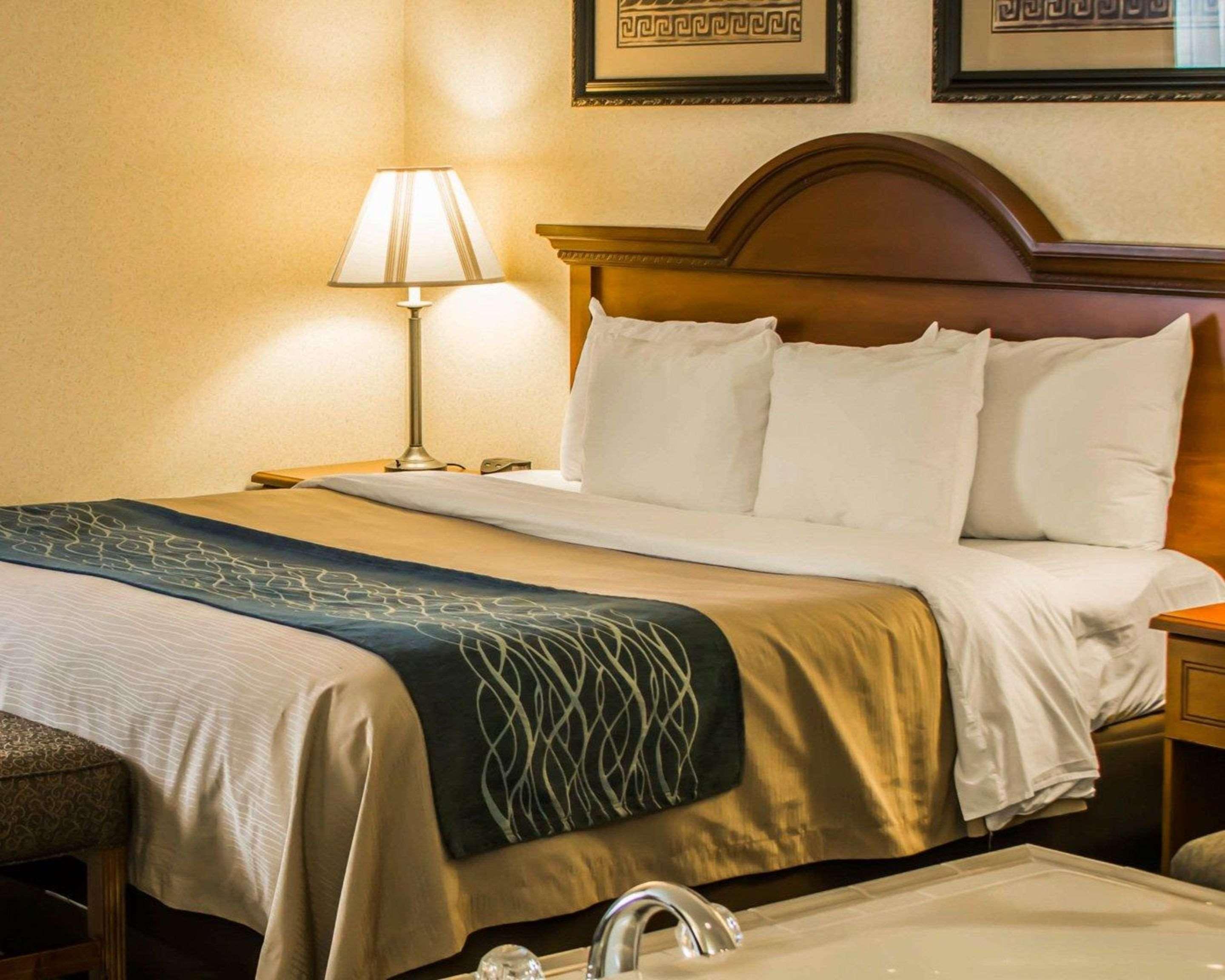 Comfort Inn & Suites Dimondale - Lansing Экстерьер фото