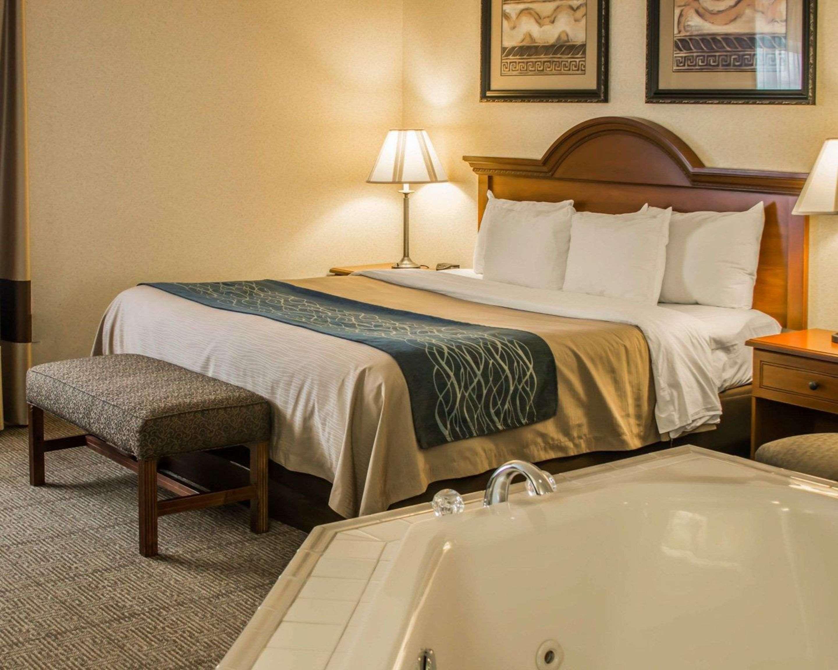 Comfort Inn & Suites Dimondale - Lansing Экстерьер фото