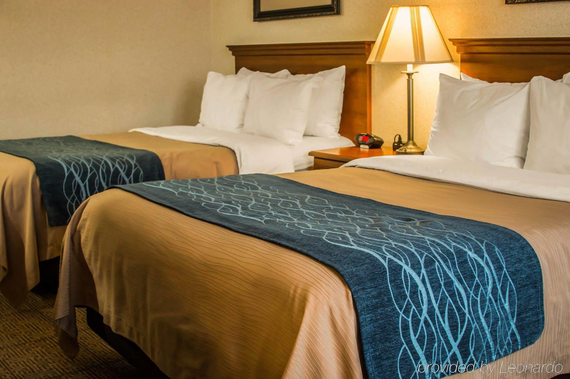 Comfort Inn & Suites Dimondale - Lansing Экстерьер фото