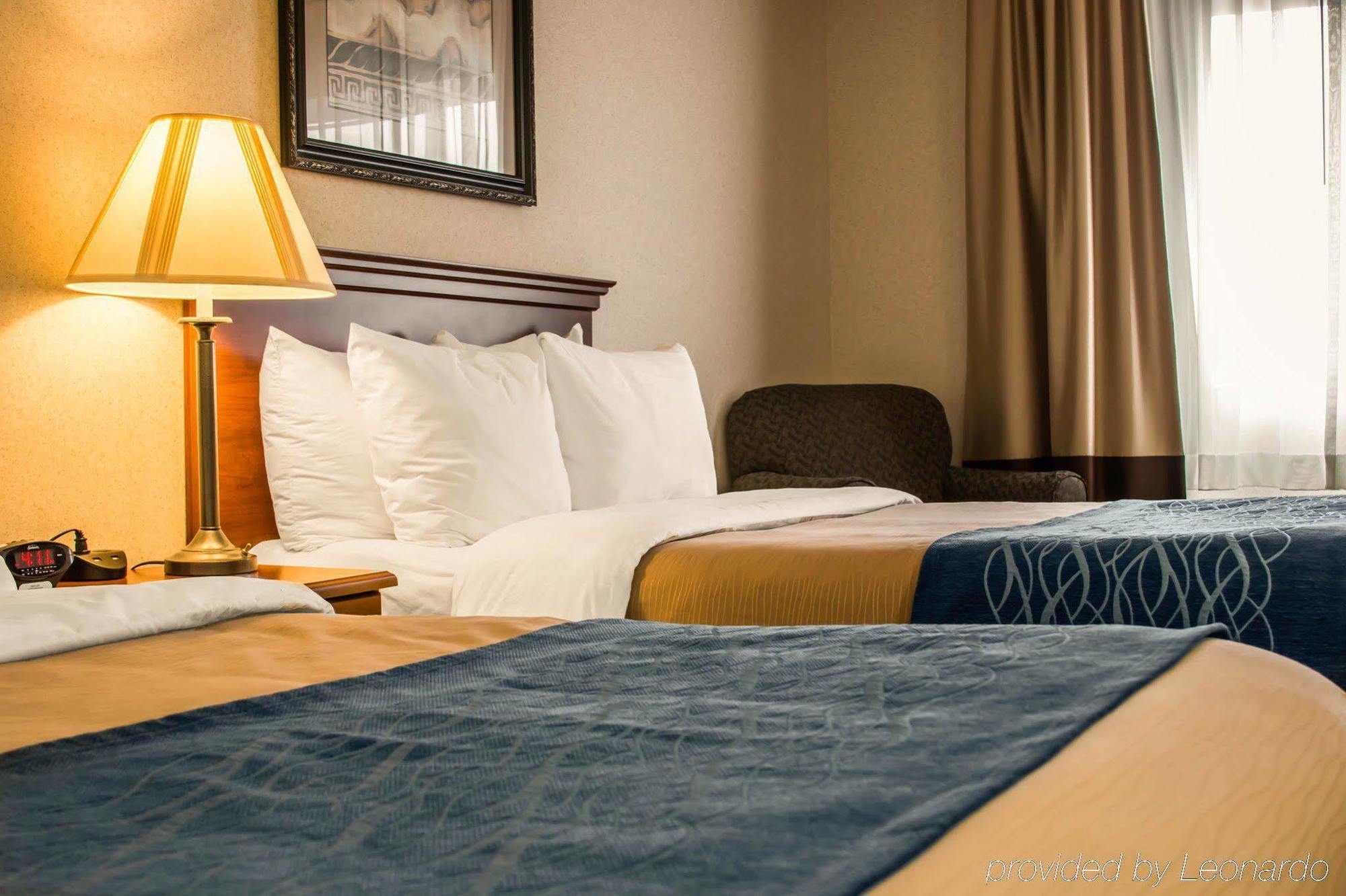 Comfort Inn & Suites Dimondale - Lansing Экстерьер фото